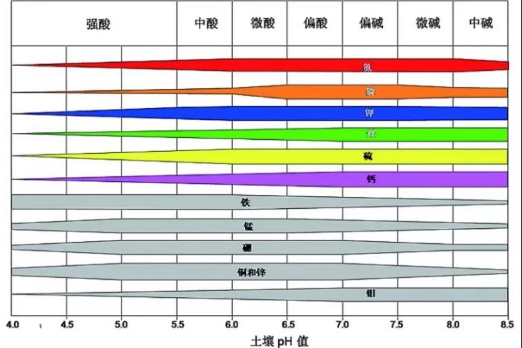 土壤PH速測儀，快速測PH